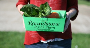 roundstone pyo farm