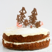 winter wonderland festive cake