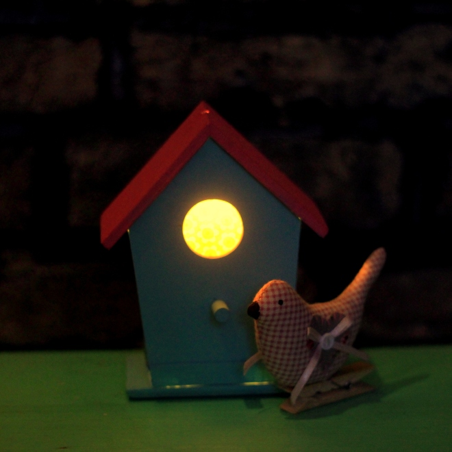 birdbox nightlight little button diaries 13
